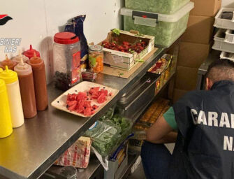 Parma. Ispezione dei Nas: blatte morte e sporcizia, chiuso un ristorante