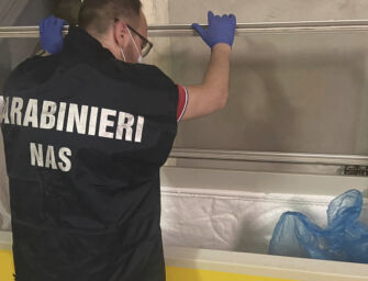 Nas, sequestro carne cinghiale nel Reggiano