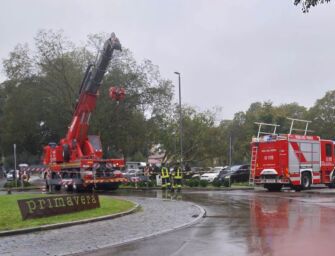 Reggio, albero si schianta sulle auto parcheggiate in via Cecati