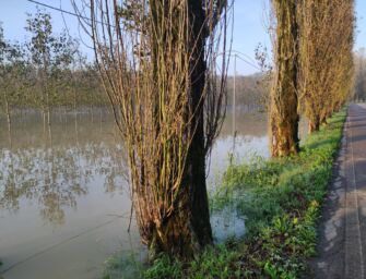 Nella Bassa il Po ha raggiunto il colmo di piena