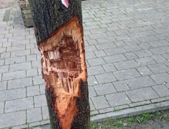 Reggio. La segnalazione: “Rosta Nuova e Pappagnocca sempre più nel mirino dei vandali”