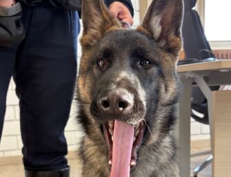 Con Lupo una nuova unità cinofila in servizio per l’Appennino reggiano