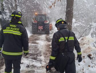 Oltre 350 gli interventi dei vigili del fuoco