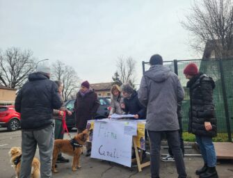 Reggio. Un successo la raccolta firme per la sicurezza stradale a Canali