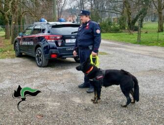 Tra il 2009 e il 2024 in Emilia-Romagna sono stati avvelenati quasi duemila animali