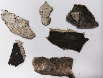 Incendio allo stabilimento Inalca di Reggio, ora è anche allarme amianto