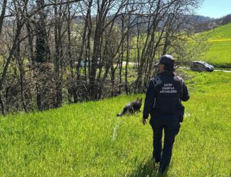 Cavola di Toano, cane morto per sospetto avvelenamento: arriva l’unità cinofila antiveleno