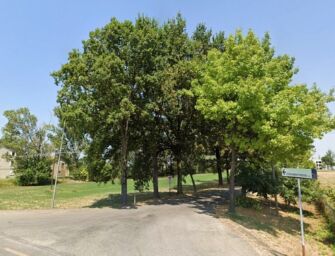 Roncocesi soffoca ancora: con il caldo estivo tornano i miasmi della Farm Service, protestano i residenti