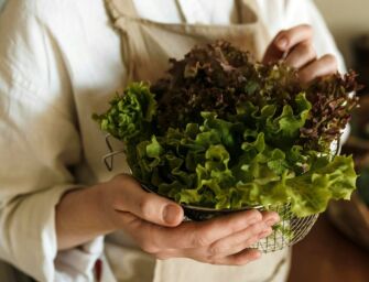 Reggio tra le città più virtuose d’Italia nel contrasto allo spreco alimentare