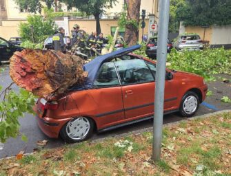Reggio, prosegue il monitoraggio delle alberature: su 1.500 analizzate solo una ventina a rischio