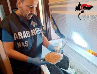 Scoperto “home restaurant” etnico abusivo a Reggio, sequestrati 700 kg di cibo