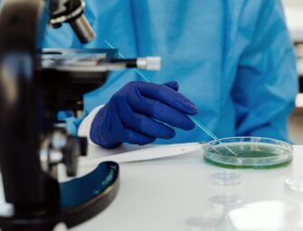 Nuovo caso sospetto di chikungunya a Reggio, al via gli interventi di disinfestazione in viale Risorgimento