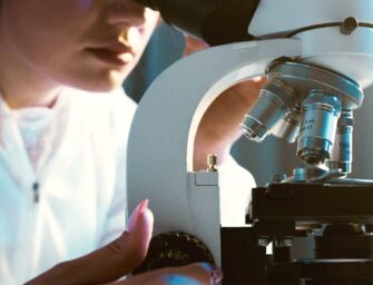 Nuovo caso sospetto di chikungunya a Reggio, al via gli interventi di disinfestazione