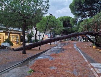 Nubifragio in Romagna: grandine, strade allagate e alberi crollati a Cervia e Milano Marittima