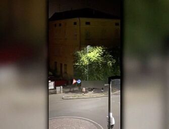 Castelnovo Sotto, identificati i giovani protagonisti del video con urla notturne e vandalismi