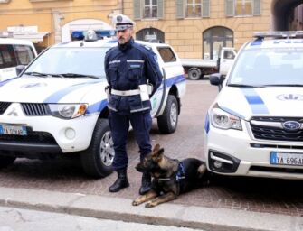 Addio a Victor, per anni è stato il cane antidroga della Polizia locale di Reggio
