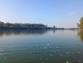 Il Po torna alla normalità: “disco verde” per disponibilità idrica in tutto il distretto