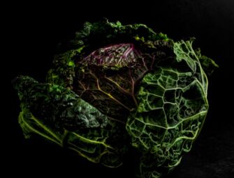 Reggio, al Mercato Campagna Amica di Coldiretti la mostra “Ortofrutta” con le foto di Savio