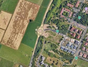 Bosco di Baragalla, niente multa a chi ha disboscato “perché gli alberi non ci sono più”