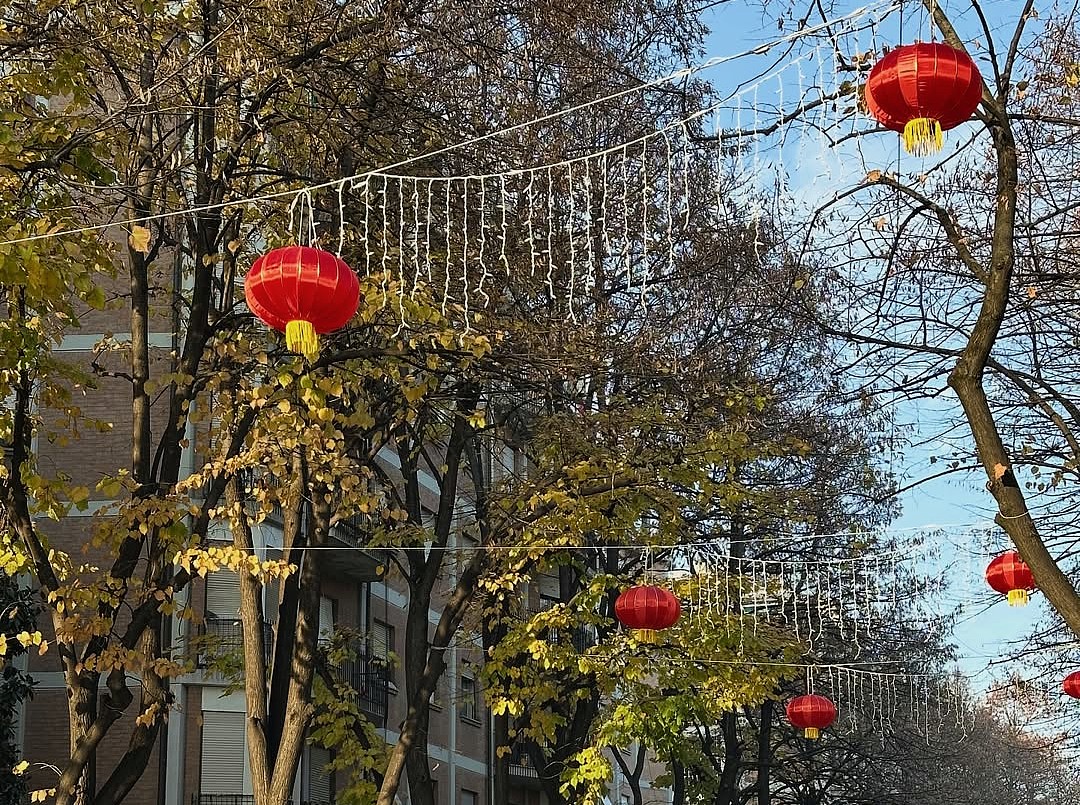Le lanterne cinesi in viale IV Novembre a Reggio Emilia