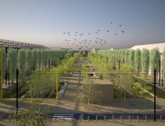 Reggio, approvato il progetto esecutivo per le Ramblas nord e sud al Parco Innovazione
