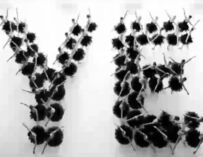 Kanye West/Ye alla Rcf Arena di Reggio: il video teaser dell’evento