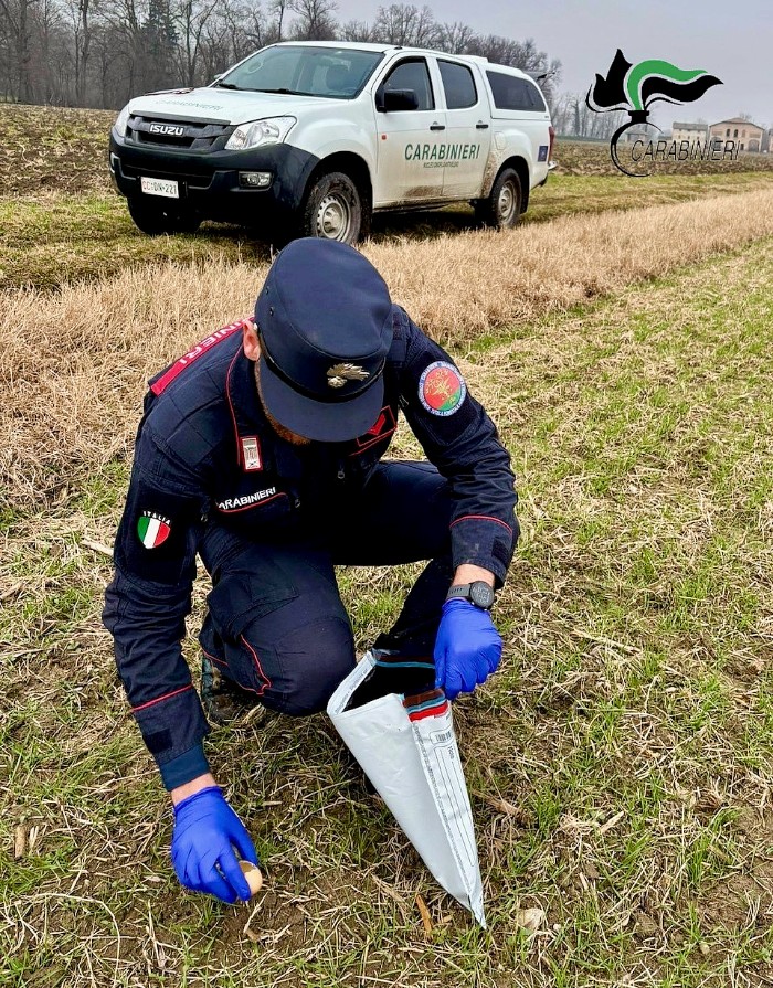 Un carabiniere forestale di Reggio Emilia raccoglie una sospetta esca avvelenata in un prato