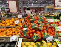 Prezzi in aumento a Reggio nel 2025 (+1,2%), stangata per gli alimentari: +3,4%