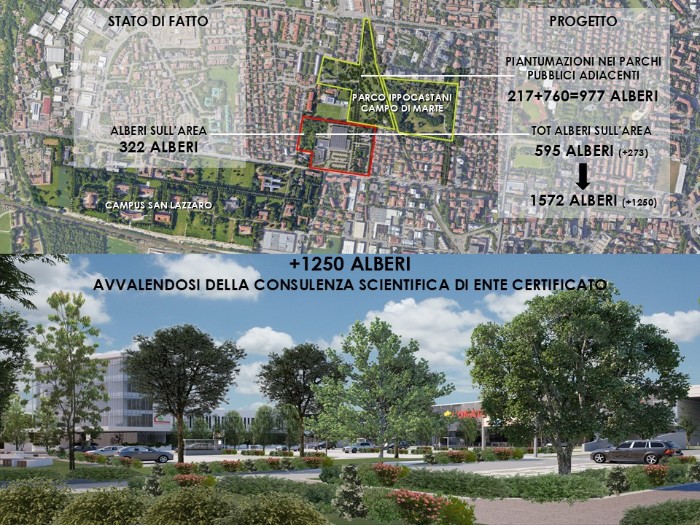 Piano alberature del nuovo Conad di Ospizio a Reggio Emilia