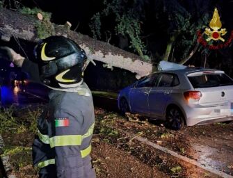 Maltempo nel Reggiano, a Cavriago albero crolla su un’auto per il forte vento