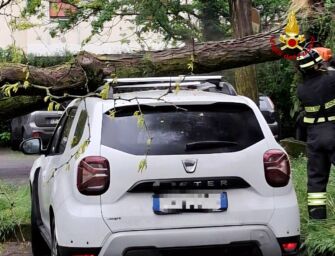 Tragedia sfiorata a Reggio: grossa pianta crolla su un’auto nel parcheggio della piscina di via Melato