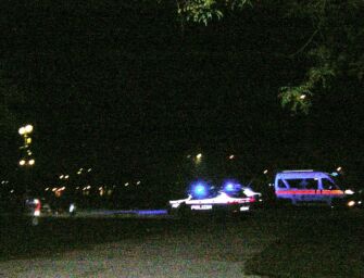 Sicurezza a Reggio, Forza Italia: “I problemi erano già noti, si potenzi la Polizia locale”