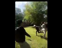 Parma, due docenti aggrediti da branco di studenti in un parco: spinte, calci e pugni