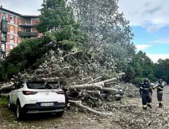 Forte vento a Reggio, alberi crollano sulle auto nel parcheggio dell’ex Polveriera