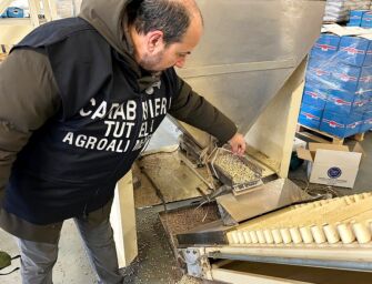 A Reggiolo sequestrate 91 tonnellate di cereali e legumi: i sacchi erano tra topi ed escrementi