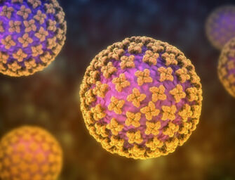 Hantavirus, Forza Italia chiede alla Regione Emilia-Romagna di avviare un monitoraggio