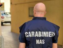 Irregolarità in un allevamento dell’Appennino reggiano: suini sequestrati e abbattuti