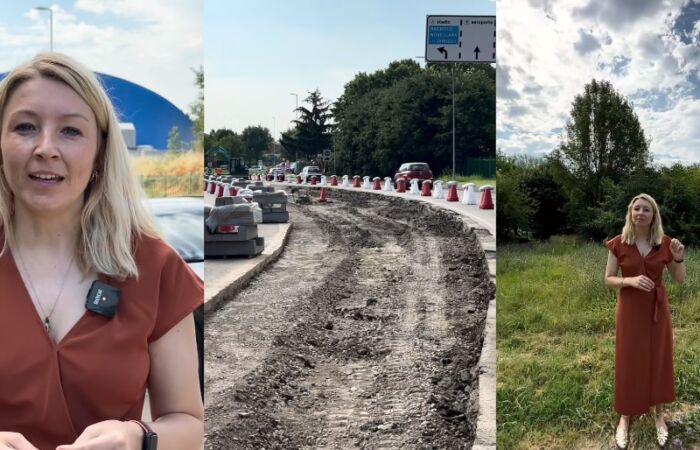 “Urbano Naturale”, la ricetta di Bonvicini per Reggio: “Meno asfalto, più microforeste”