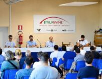 Allarme vino, i giovani di Emilia Wine chiedono un patto per il futuro del settore