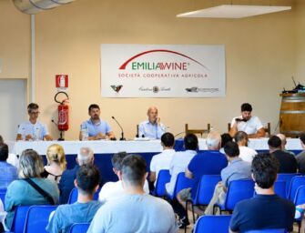 Allarme vino, i giovani di Emilia Wine chiedono un patto per il futuro del settore
