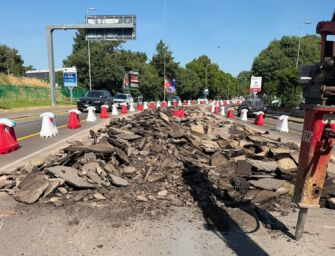 Reggio, via Cisalpina diventa “strada verde”: tolto l’asfalto per far posto a 800 arbusti