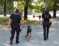 Reggio, bocciata la mozione: niente agenti in borghese contro le baby-gang