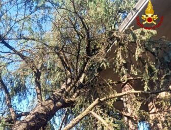 Bagnolo in Piano, abete cade e finisce sul tetto di una casa