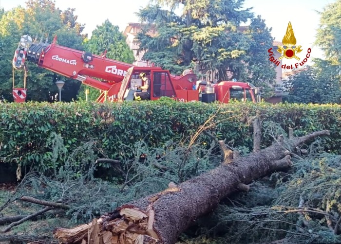 L'intervento dei vigili del fuoco per l'abete crollato sul tetto di una casa a Bagnolo in Piano