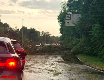A Reggio picco di 41,6 mm di precipitazioni in un’ora, danni ovunque