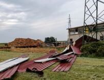 La furia del vento nelle campagne reggiane: strutture scoperchiate, crolli, piante abbattute