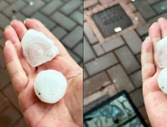 Violenta grandinata tra Luzzara, Reggiolo e Rolo, caduti chicchi grandi come palline da golf