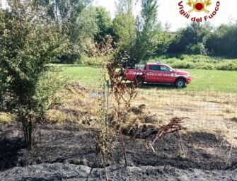 Incendio a Roncocesi, in fiamme 11.000 mq di vegetazione: non si esclude il dolo