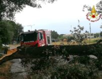 Maltempo, oltre 800 interventi dei vigili del fuoco per i danni di vento e pioggia