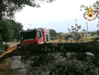 Maltempo, oltre 800 interventi dei vigili del fuoco per i danni di vento e pioggia